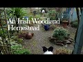 An Irish Woodland Homestead