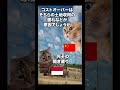 【インドネシア 高速鉄道】日本を蹴って中国に高速鉄道事業を任せた結果… #猫マニ #猫ミーム #shorts