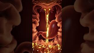 This Drink Changes How Fat is Stored Inside Your Body