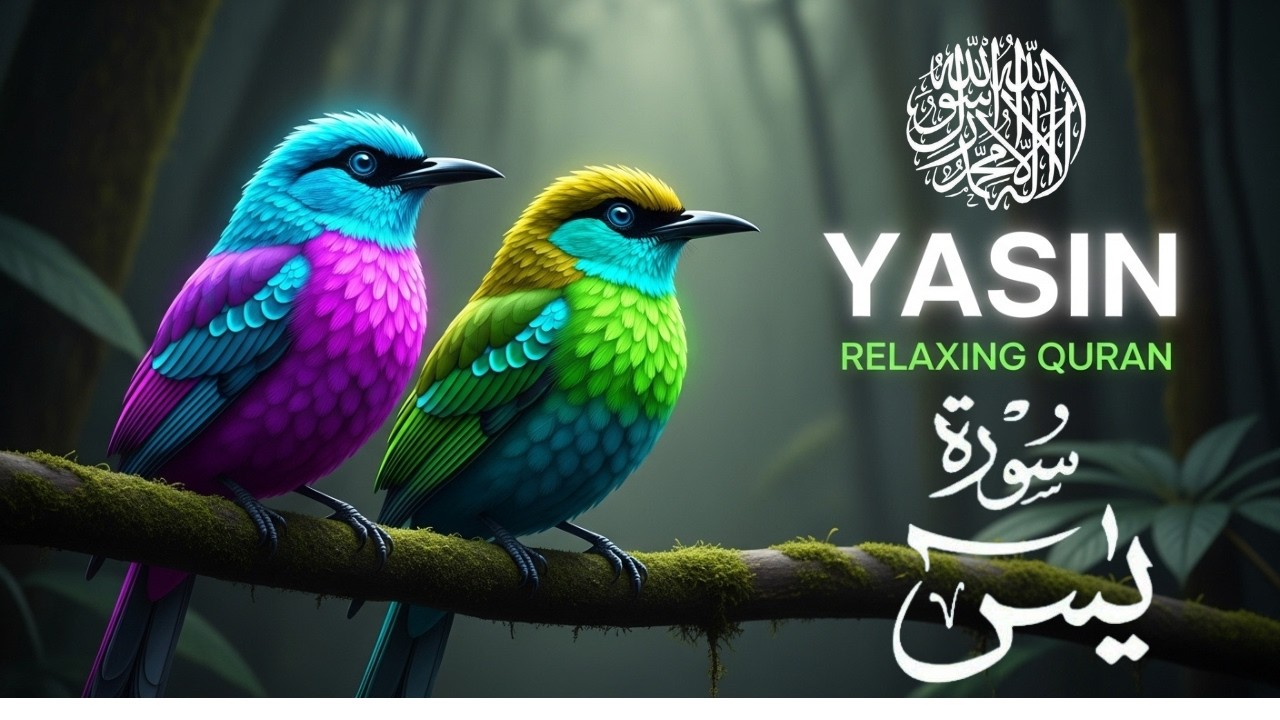 Surah Yasin (Yaseen) for Healing | Relieve Stress, Anxiety & Depression | سورة يس | #surahyaseen
