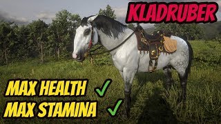 KLADRUBER REVIEW *BEST HORSE* ! Max Health & Stamina ! Red Dead Online