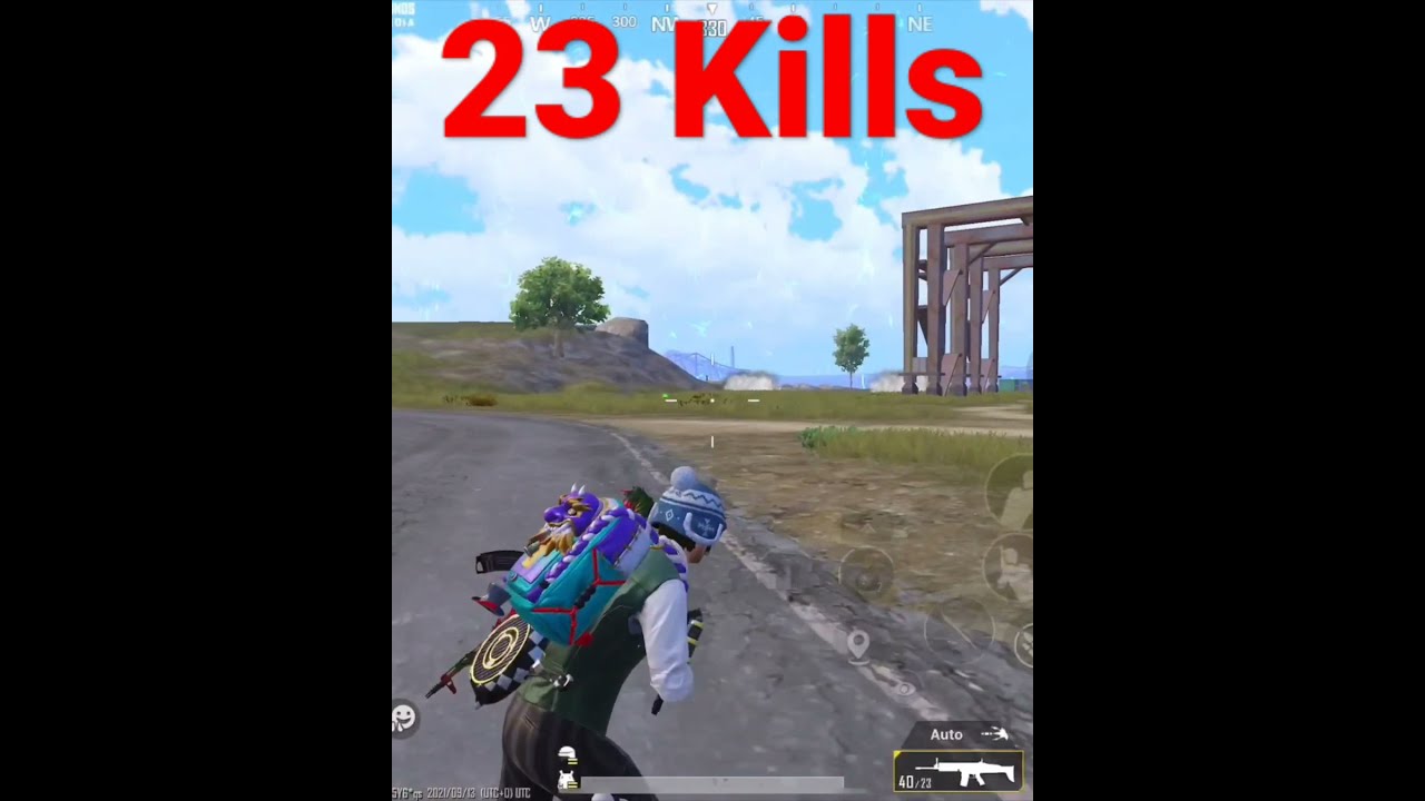 23 Kill Chicken | 