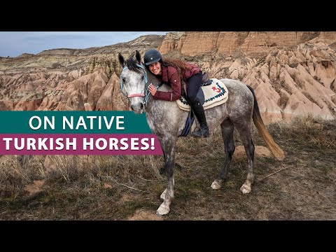 Horse Riding in