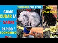 🔴COMO CURAR SARNA EN PERROS TRATAMIENTO RAPIDO Y ECONOMICO SINTOMAS DERMATITIS ROÑA TIÑA DEMODEX