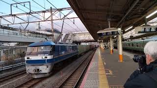 1月8日 71レ EF210-374+コキが大船駅を通過するシーン