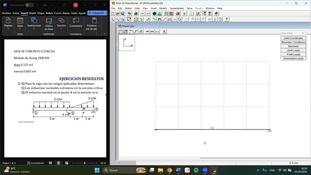 10. RISA PRÁCTICA DE LAB
