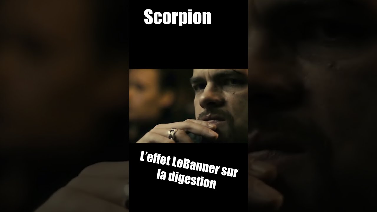 ScorpionPepite de chocolat #film #doublagefrancais #humour #cinema #nanar
