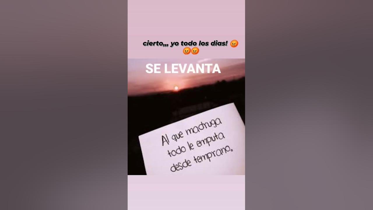 Yo todos los dias youtube