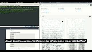 [pawpatrules.fr] FIN7 SSH backdoor detection with Suricata IDS/NSM engine