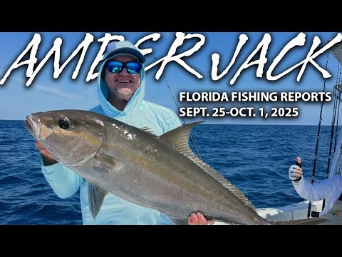 Big AJ Action! | Amberjack Takeover – Florida Insider Fishing Report