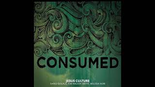 Holy (feat. Kim Walker-Smith) [Radio Edit] - Jesus Culture