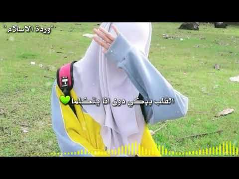 القلب يبكي دون أن يتكلما 