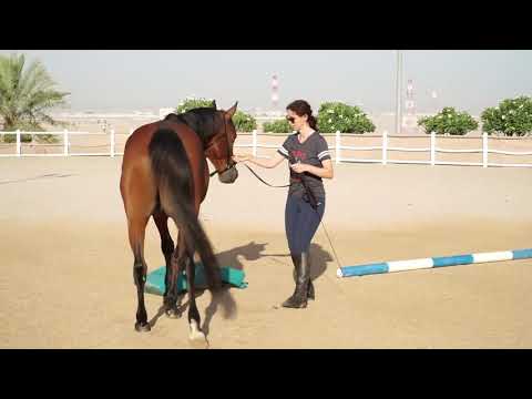 Straightness Training GW1 TS 