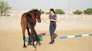 Straightness Training   GW1 TS