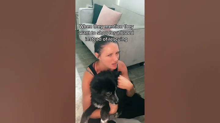 Adopt a senior rescue dog today! #rescuedog #seniordog #dogsoffok #rescue