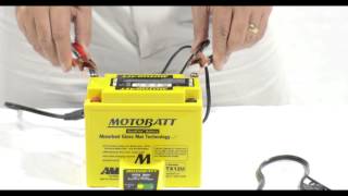 6v & 12v Motobatt Motorcycle Trickle Battery Charger Baby Boy Auto Cut