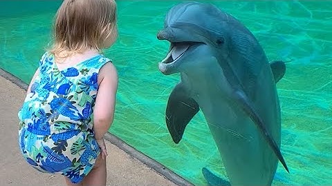 TRY NOT TO LAUGH | Funny Weekend At The Zoo - LAUGH TRIGGER