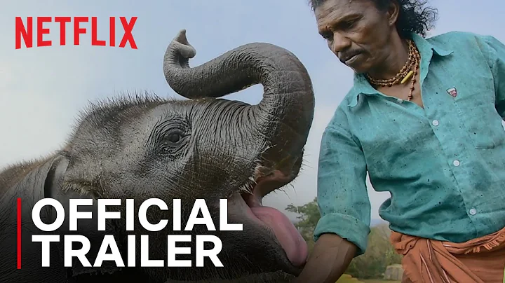 The Elephant Whisperers | Official Documentary Tra...