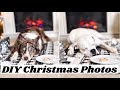 Diy christmas photos with your dog
