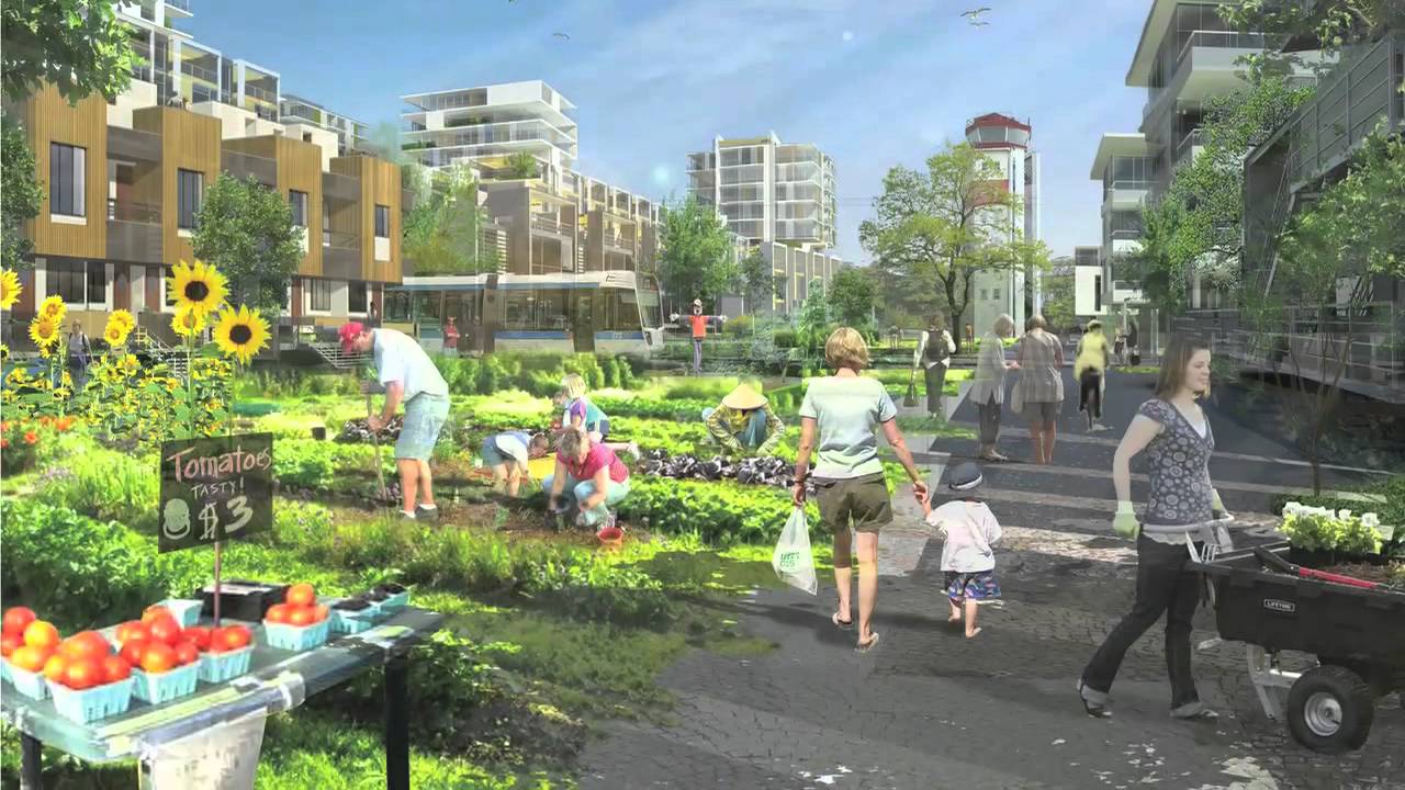 City Centre Redevelopment Update 2012