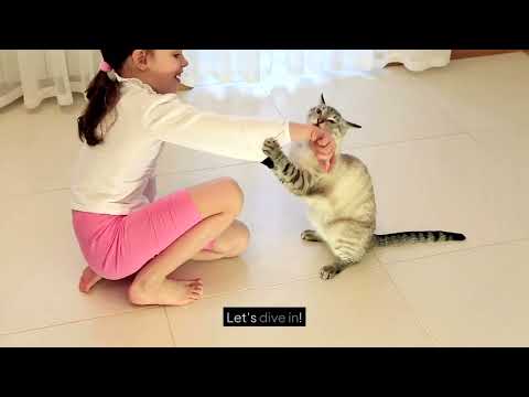 Cat with Random behaviour in different Environments