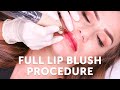 Full Lip Blush Procedure | Tina Davies Professional I 💋 INK