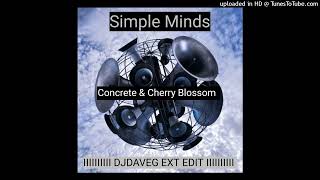 Simple Minds - Concrete and Cherry Blossom (DJ Dave-G Ext Edit)