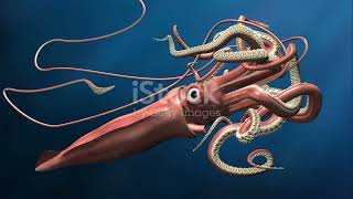 Top 10 Ancient Creatures Still Roaming the Earth