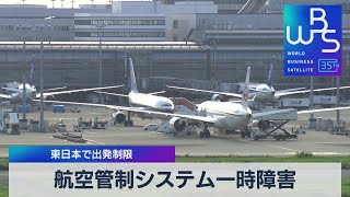 東日本で出発制限　航空管制システム一時障害【WBS】（2023年9月29日）