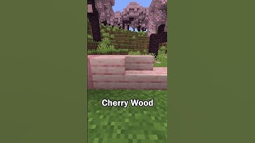 New Cherry Wood in Minecraft 1.20