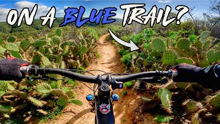 My New MTB Loop: Sinkholes, Cactus Gardens & EPIC Descents
Join me on Patreon for access to early videos, group rides, product giveaways & a great community! https://www.patreon.com/OutsiderMTB
THE OUTSIDER MTB JERSEY - $25 BUCKS!
https://checkout.square.site/buy/DE6WRYRHSCAJUVGDSHTNUAVJ
Instagram: https://www.instagram.com/theoutsidermtb/?hl=en
Trailforks Info: https://www.trailforks.com/region/crystal-cove-state-park/?activitytype=1&z=12.6&lat=33.58095&lon 117.80889
Strava Ride: https://www.strava.com/activities/8556740432
Channel Support By:
YT Industries: https://us.yt-industries.com/
Urban Armor Gear (UAG): https://www.urbanarmorgear.com/
Gravity Bike Shop: https://www.gravitybicycles.com/
Dainese Orange County: https://www.dainese.com/us/en/store/dainese-store-orange-county.html
Crankbrothers: https://www.avantlink.com/click.php?tt=cl&merchant_id=264a22c3-3f6f-4393-bb47-52178da1aad6&website_id=dc96d8e3-6768-4d4e-afeb-fa5b630dabf7&url=https%3A%2F%2Fwww.crankbrothers.com%2F
Front Tire: https://www.worldwidecyclery.com/products/maxxis-minion-dhf-tire-29-x-2-50-folding-120tpi-3c-maxxterra-compound-exo-protection-tubeless-ready-wide-trail?aff=95
Rear Tire: https://www.worldwidecyclery.com/products/maxxis-minion-dhr-ii-tire-29-x-2-4-tubeless-folding-black-tan-dual-exo-wide-trail?aff=95
Grips: https://www.worldwidecyclery.com/pages/search-results-page?q=dmr+death+grip+grip&aff=95
Pedals: https://www.worldwidecyclery.com/pages/search-results-page?q=one+up+pedals+composite&aff=95
My Pack
Long Day: https://www.worldwidecyclery.com/collections/backpacks-hydration-packs/products/osprey-raptor-10-hydration-pack-black?aff=95
Short Ride: https://www.worldwidecyclery.com/pages/search-results-page?q=hip+pack&page=1&rb_product_type=Lumbar%2FFanny+Pack&tab=products&aff=95
#MTB #Outdoors #Outside My New MTB Loop: Sinkholes, Cactus Gardens & EPIC Descents