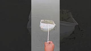 Catch Fish With A Net