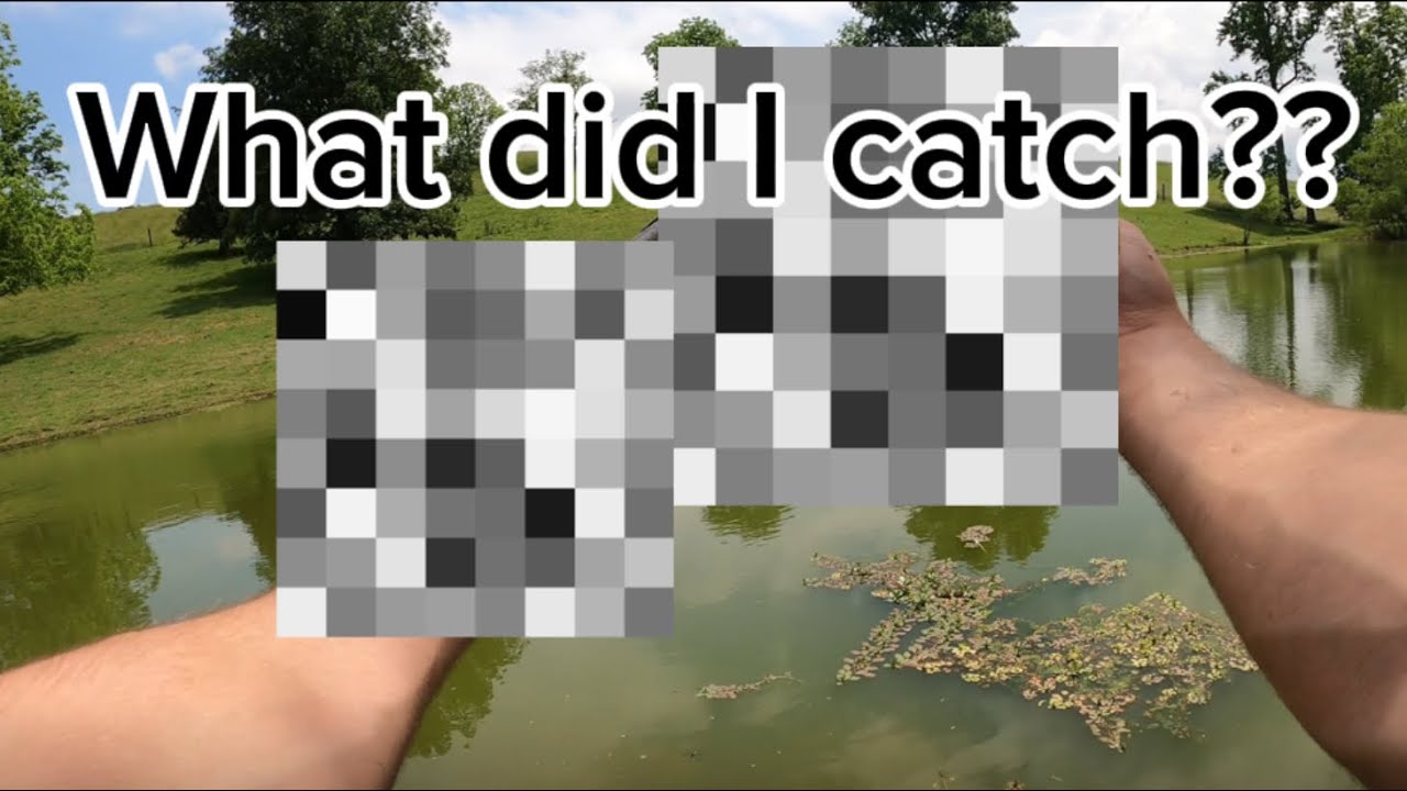 What did I catch in my Farm Pond?! (BIG Fish)