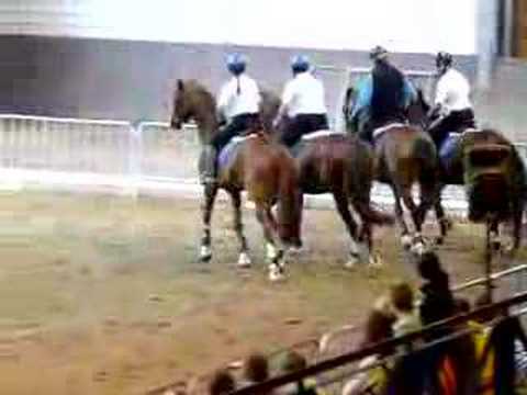 Cavalerie equistyle