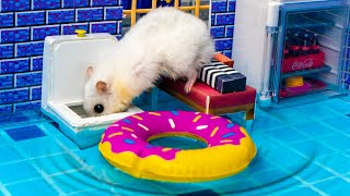 🐹Hamster robbed Barbie's house😱🐹 maze with Traps hamster🐹 Minecraft Maze screenshot 3