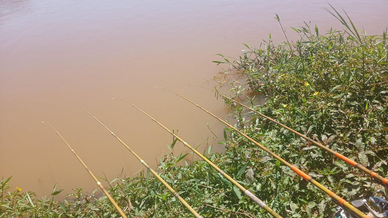 A tarde falou baixo… mas a pescaria respondeu forte.