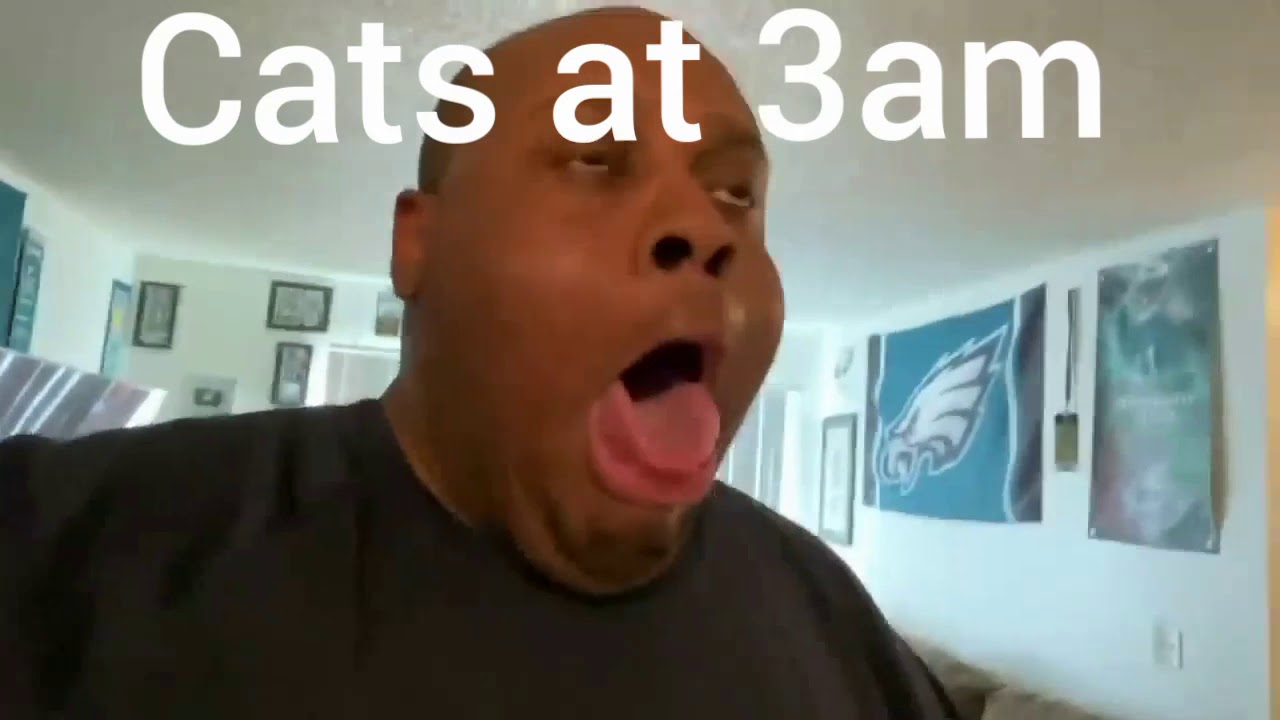 CATS at 3AM YouTube