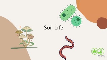 Soil Health Basics