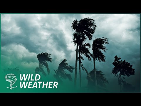 THE DEADLIEST STORM IN THE PHILIPPINES | SUPER TYPHOON YUTU