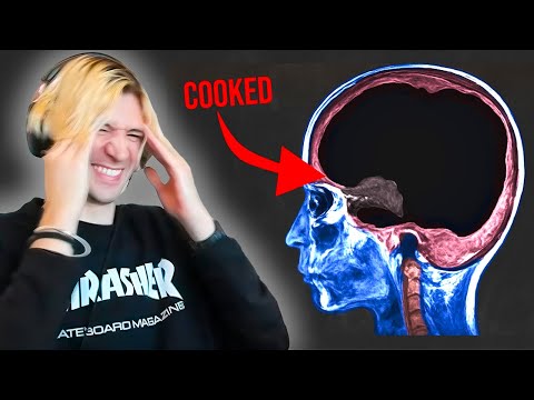 xQc Reacts to AI Advice That Cooked This Guy’s Last Remaining Brain Cell
