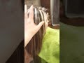 Mi Trabajo Que Nos Pone Hermosas y Bellas