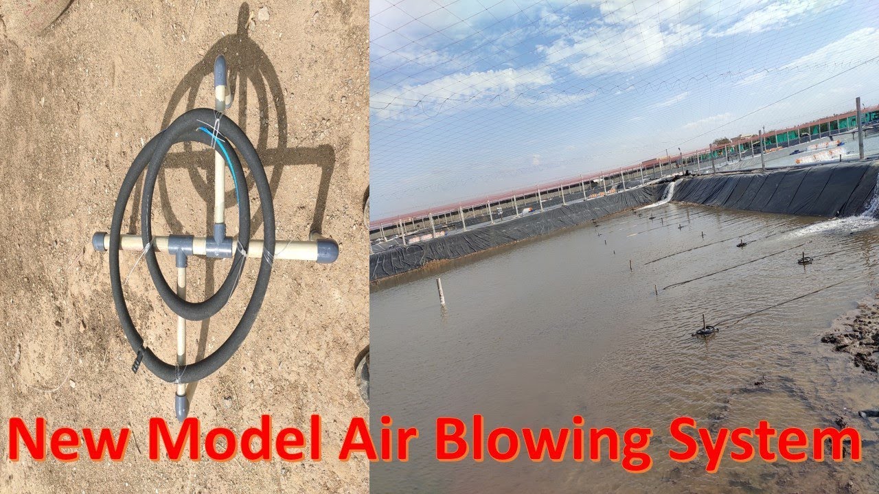 New Model Air Blowing System in High density Shrimp Farms