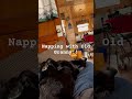 Napping with Old Granny #viral #dog #labrador