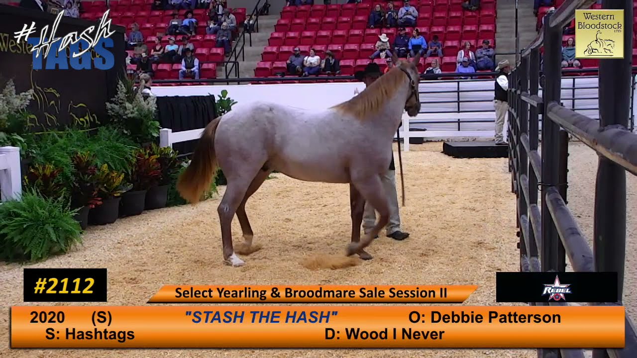 Stash The Hash 2020 Red Roan Stallion Hashtags x Wood I Never YouTube