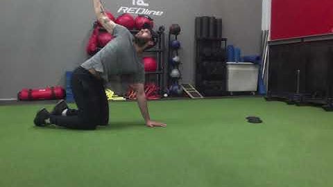 Quadruped T-Spine Rotation