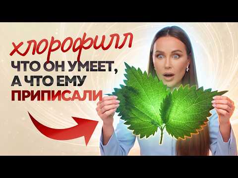Chlorophyll: What It Actually Does vs. What It’s Claimed to Do. A Doctor's Analysis