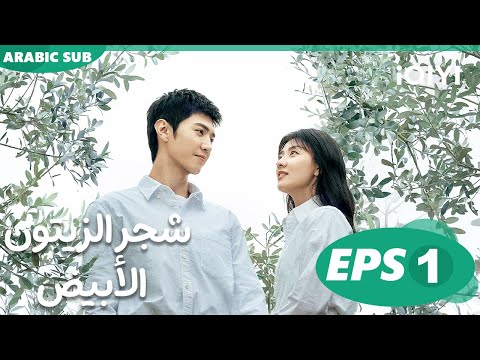 شجر الزيتون الأبيض The White Olive Tree الحلقة 1 IQIYI Arabic