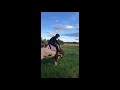 Equestrian Riding A Cow 