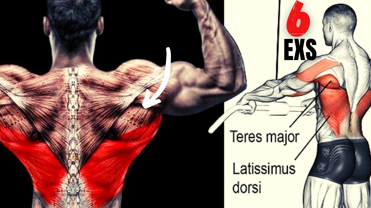 6 Cable Exercises For a Bigger Back - MUSCLE EMOTION - YouTube