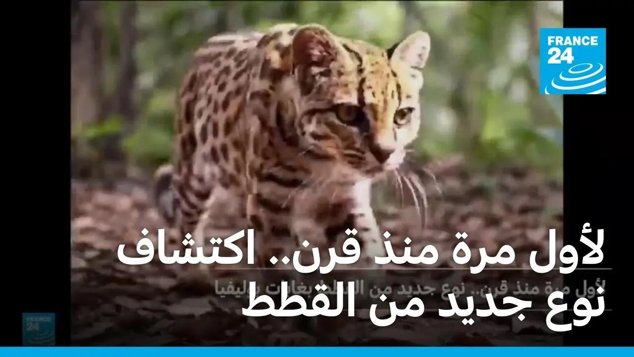 ���� ��� ��� ���.. ������ ��� ���� �� ����� � ����� 24
 - نشر قبل 53 دقيقة